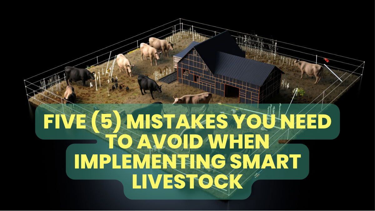 5 Mistakes That You Need to Avoid When Implementing Smart Livestock